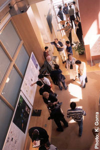 Nortel Institute